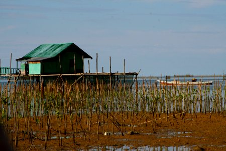 USAID Helps Combat Climate Change in Kendari (14124670792)