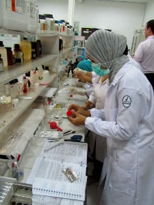 USAID Health, Science and Technology Program (9447826889)
