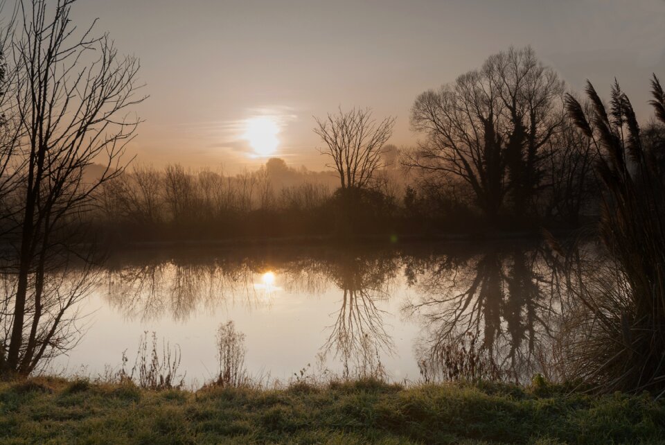 Sunset fog field