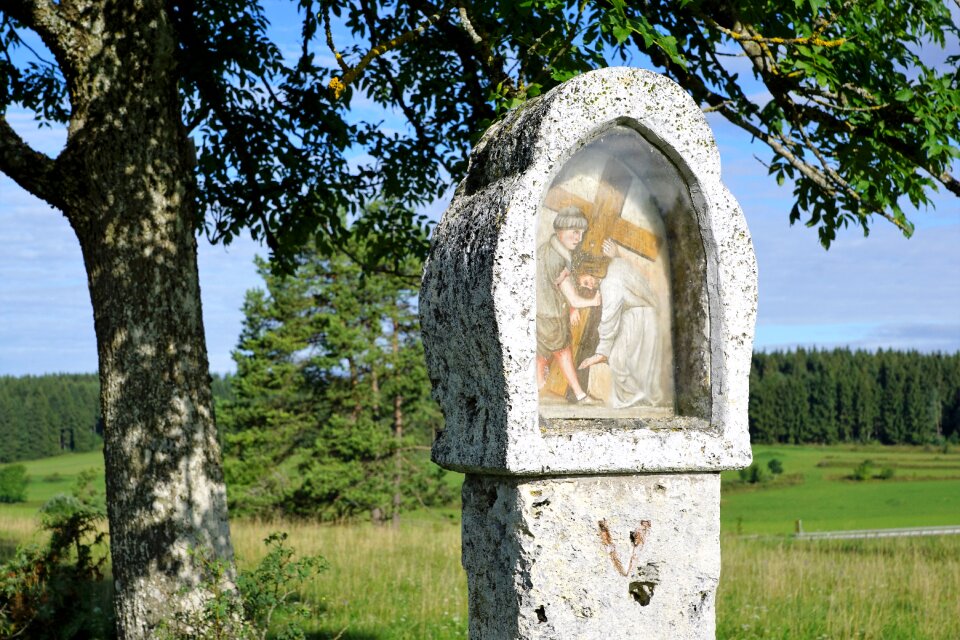 Germany nature summer
