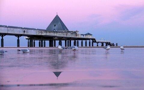 Heringsdorf pier baltic sea usedom