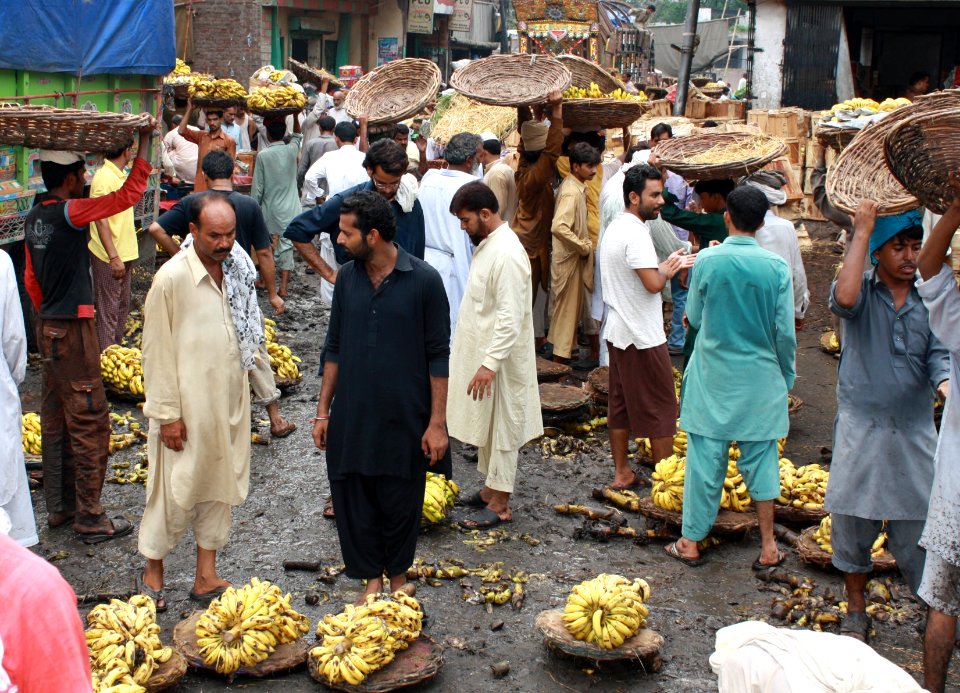 USAID Firms Project's Agriculture Marketing Reforms