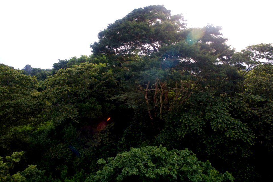 USAID Environment Program (12040736883)