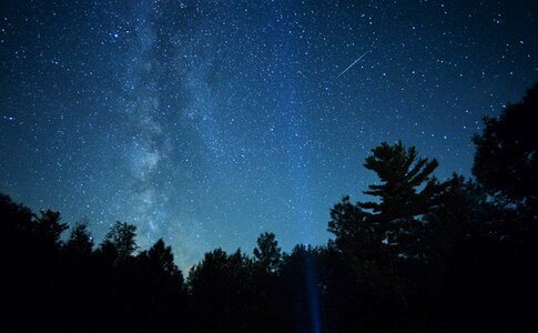 Milky way treetops