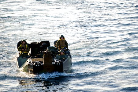 US Navy 111108-N-ZC343-359 Marines from the Assault Amphibious Schools Battalion at Camp Pendleton, Calif., practice maneuvering amphibious assault