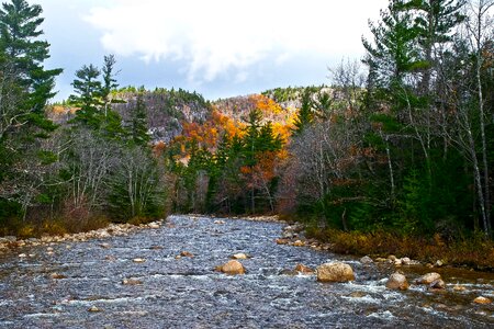 Peaceful fall river photo