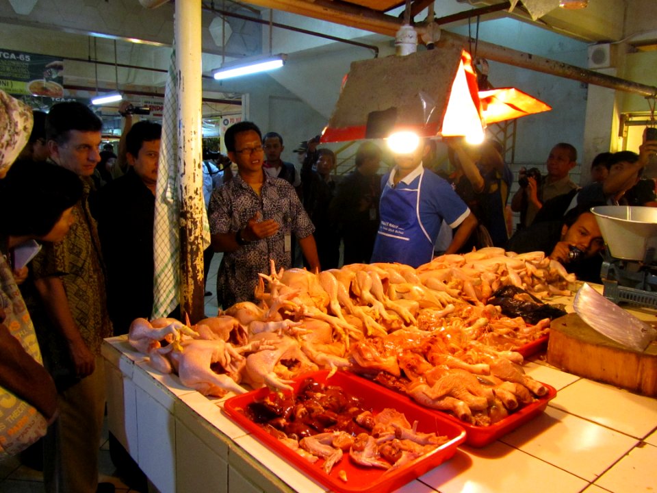 USAID Avian Influenza Project (8719079071)
