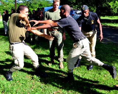 US Navy 111116-A-TF780-030 A Marine watches Dominican Republic marines as they practice martial arts training photo
