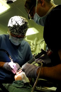 US Navy 111116-N-QL471-060 Cmdr. Sandra M. Halterman, right, and Hospital Corpsman 2nd Class Adam J. Smolski perform an oral surgery aboard the air