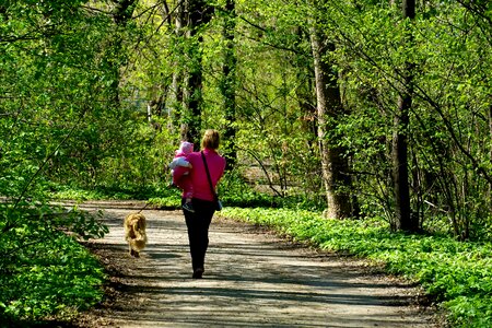 Path park woman
