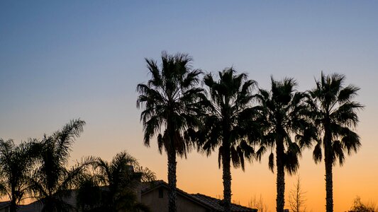 Nature outdoor sky