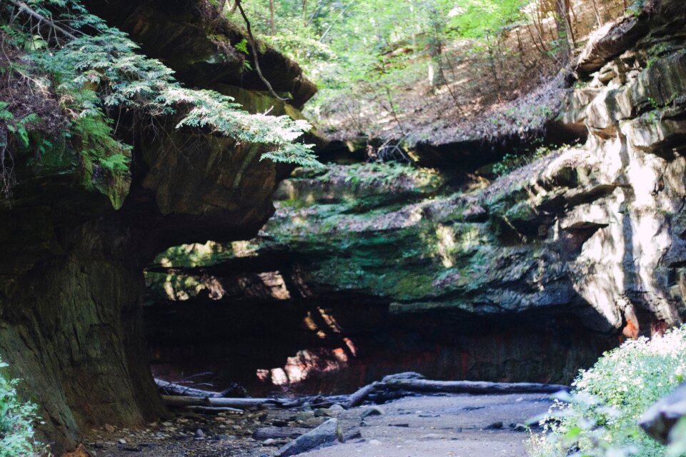 Cave wood water photo