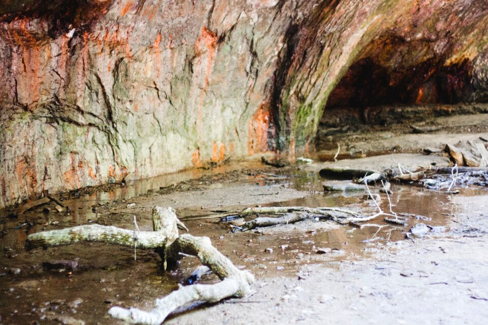 River cave wood