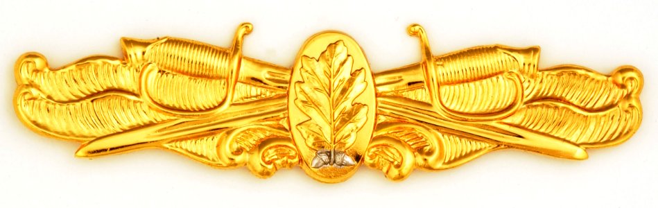 US Navy Surface Warfare - Dental Corps insignia