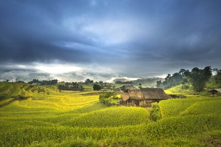 Silk the cultivation travel