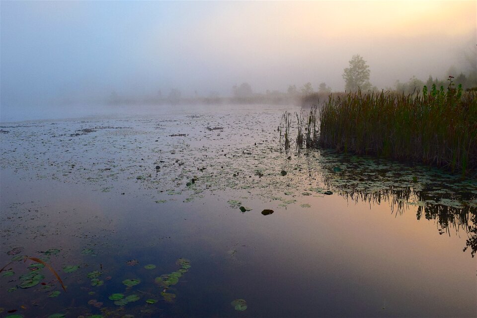 Sunrise water nature