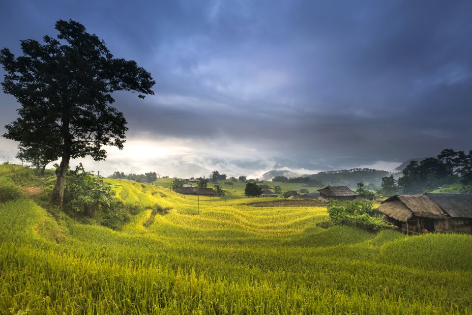 Silk the cultivation travel