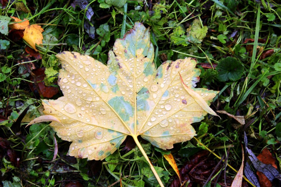 October seasons of the year fall