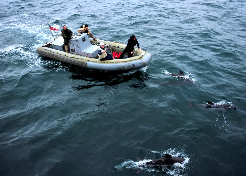 US Navy 120118-N-NL401-126 Dolphins swim in front of a rigid-hull inflatable boat as Sailors assigned to the Arleigh Burke-class guided-missile des