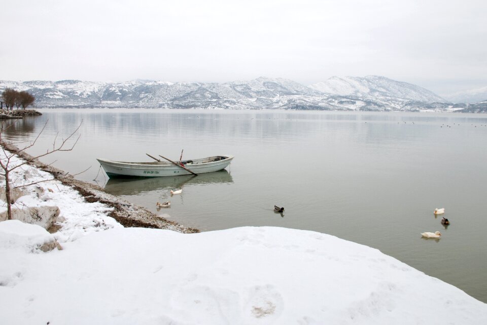 Lake nature turkey turkey