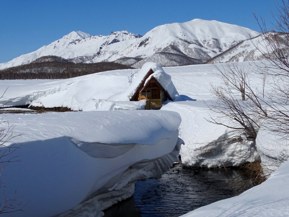 Bathing kamchatka nature