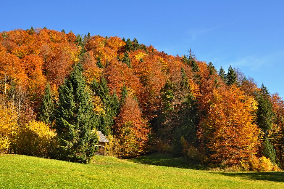 Fall color colorful coloring