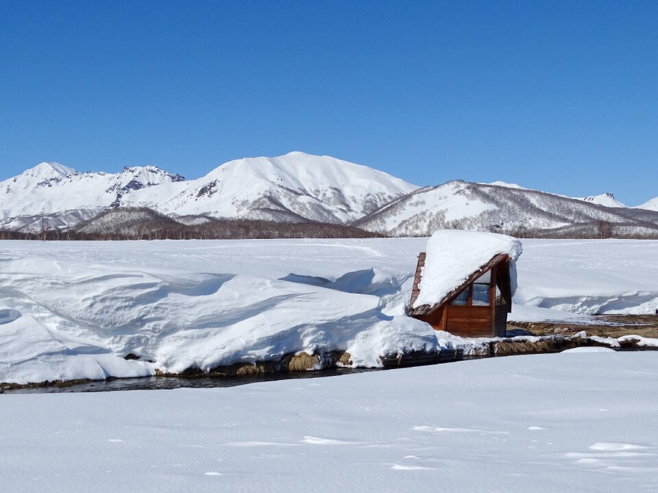 Bathing kamchatka nature