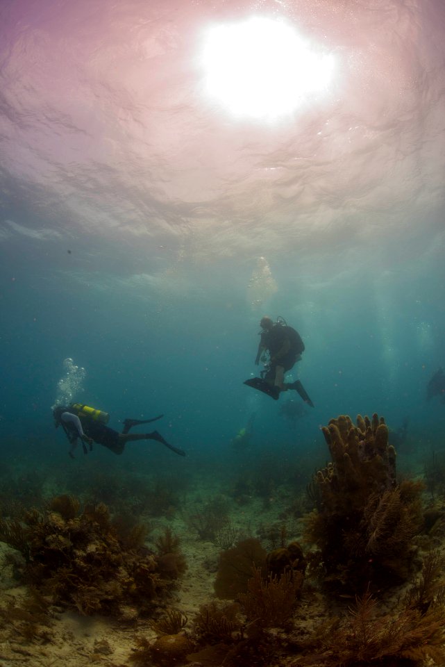 US Navy divers and Belizean Coast Guard divers work together during Southern Partnership Station '14 140613-N-IP743-166