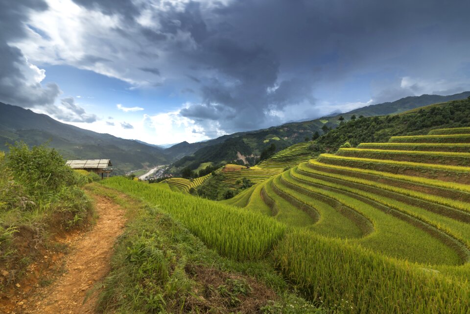 Silk the cultivation travel