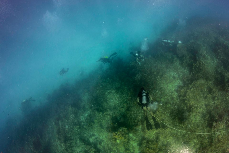 US Navy divers and Belizean Coast Guard divers work together during Southern Partnership Station '14 140626-N-IP743-064