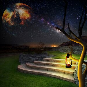 Starlight tree stairs