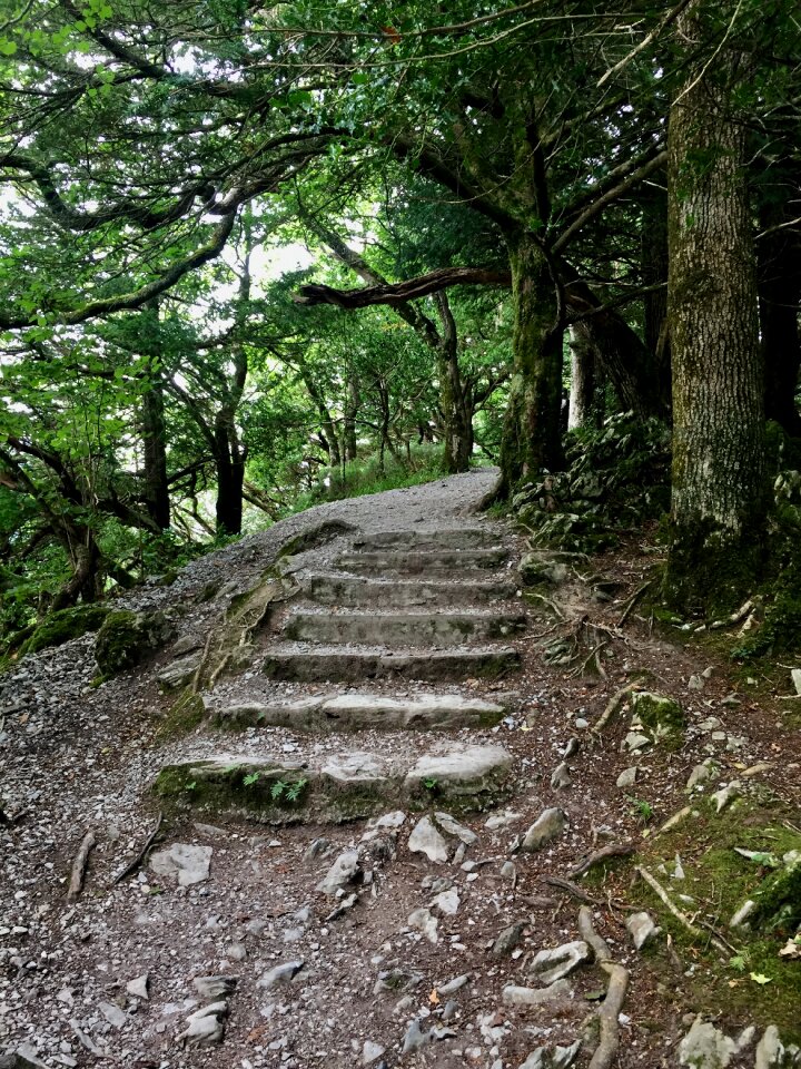 Stone rise stair step