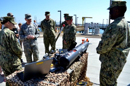 US Navy Marine Mammal Program 120312-N-FN215-536