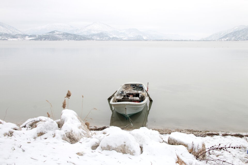 Lake nature turkey turkey