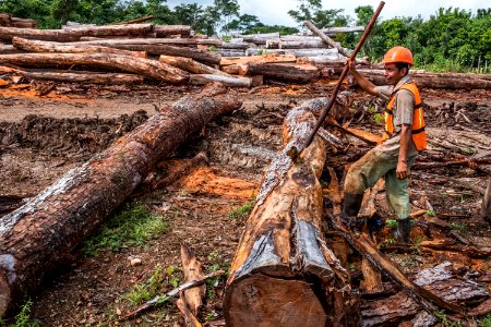 USAID Measuring Impact Conservation Enterprise Retrospective (Guatemala; Rainforest Alliance) (25433460217)