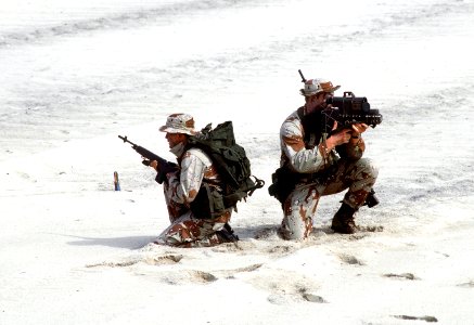 US Navy SEALs with laser designator photo