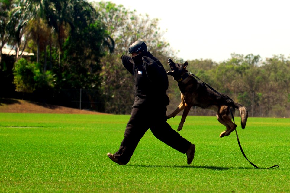 US Navy Lt. Ryan Ramsden, assigned to Explosive Ordnance Disposal Mobile Unit runs in a protective suit while training