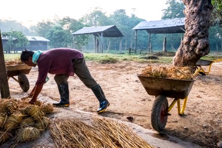 USAID Measuring Impact Conservation Enterprise Retrospective (Nepal; National Trust for Nature Conservation) (26429101068)