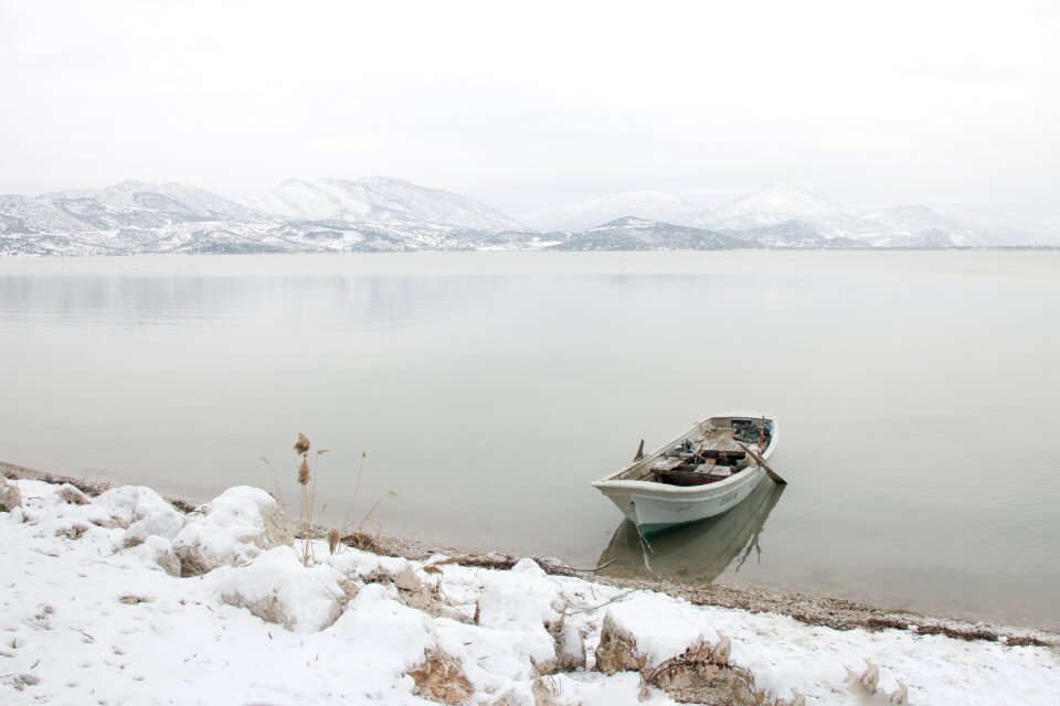 Lake nature turkey turkey