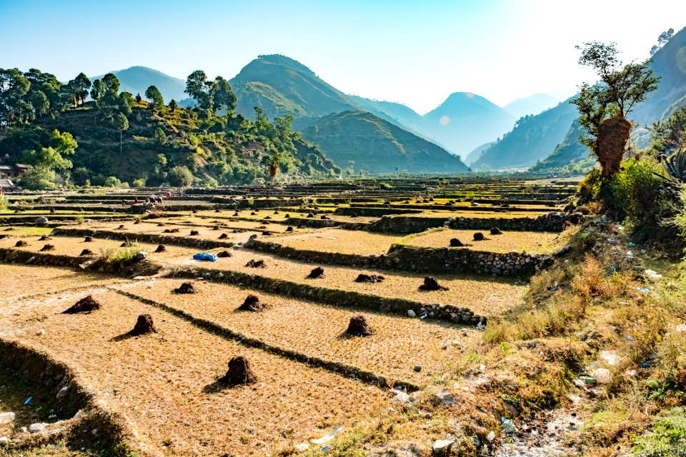 USAID Measuring Impact Conservation Enterprise Retrospective (Nepal; Asian Network for Sustainable Agriculture and Bioresrouces) (40248957192)