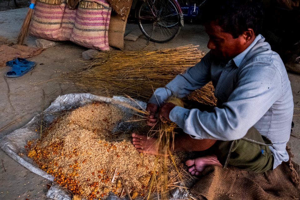 USAID Measuring Impact Conservation Enterprise Retrospective (Nepal; National Trust for Nature Conservation) (26429085428)
