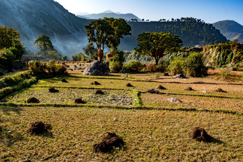 USAID Measuring Impact Conservation Enterprise Retrospective (Nepal; Asian Network for Sustainable Agriculture and Bioresrouces) (40248954392)