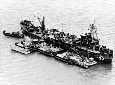 USS Askari (ARL-30) with landing craft in Vietnam, in May 1967 (USN 1123313)