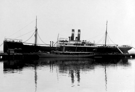 USS Camden (ID 3143) at the Charleston Naval Shipyard, South Carolina (USA), on 11 June 1917 (NH 55043)