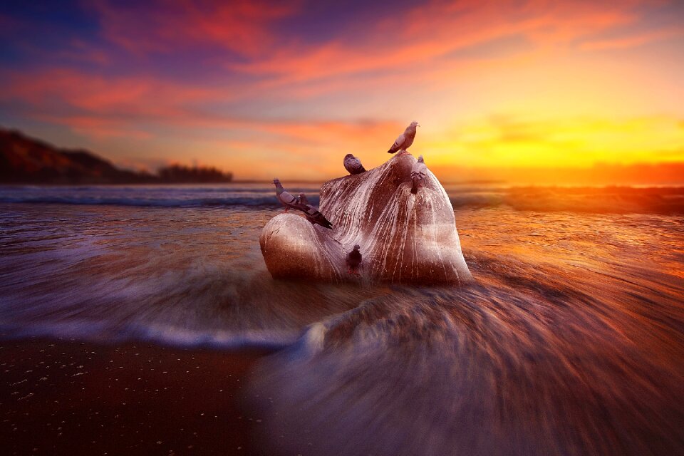 Sea river morning