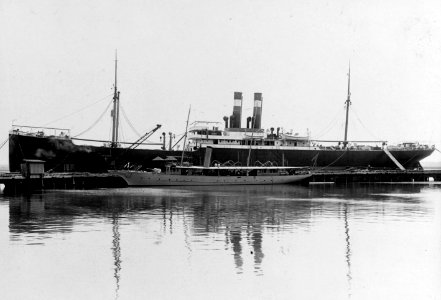 USS Camden (ID 3143) and USS Reposo II (SP-198) at the Charleston Naval Shipyard, South Carolina (USA), on 11 June 1917 (NH 55042)