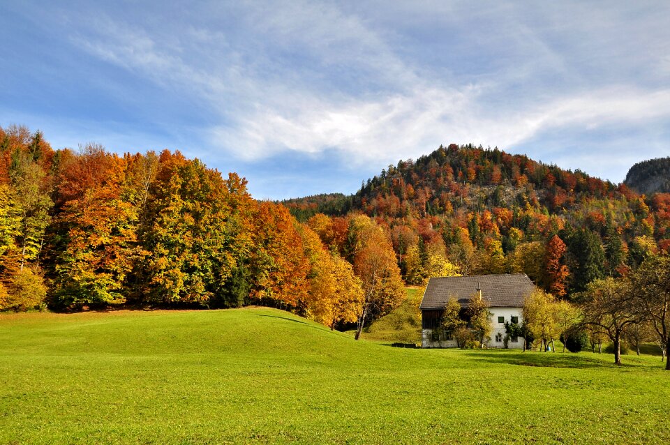 Fall color colorful coloring