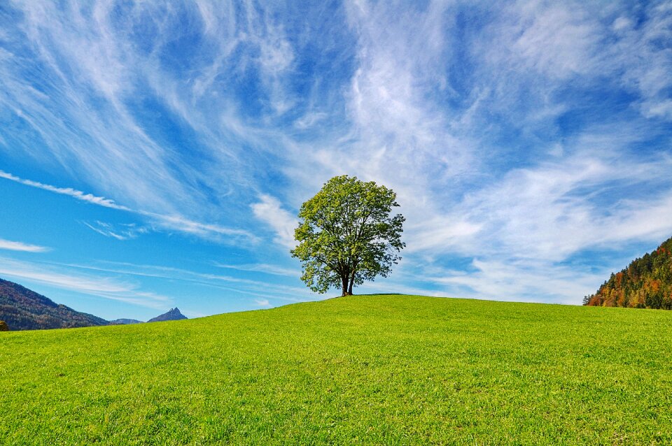 Clouds landscape grass