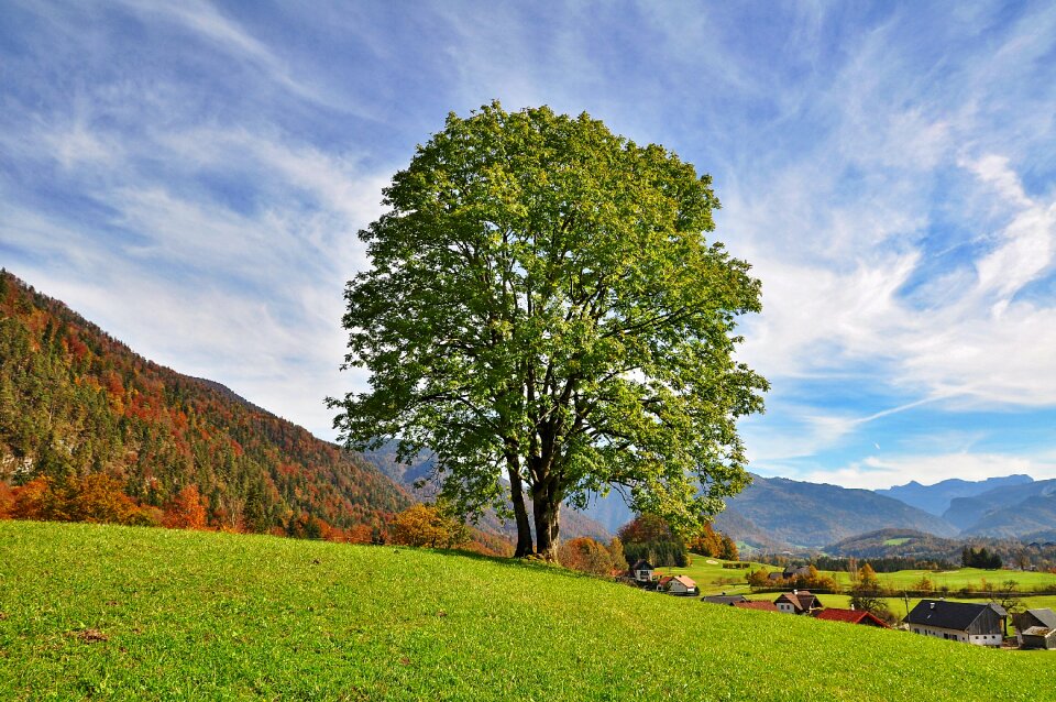 Landscape autumn autumn landscape