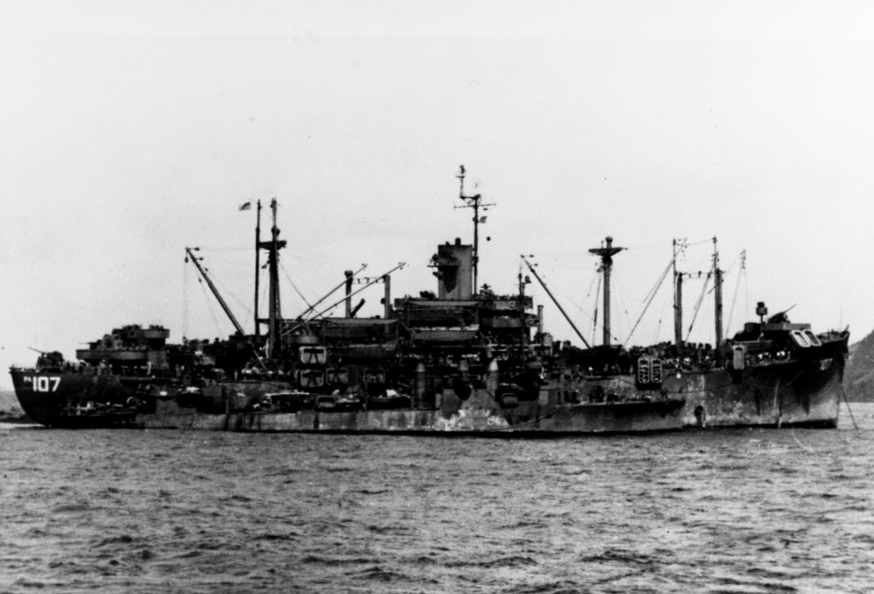 USS Goodhue (APA-107) and USS Dorsey (DMS-1) at anchor, in 1945 (NH 83406)